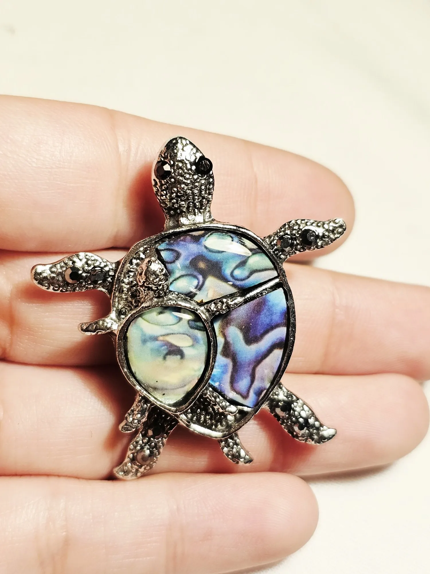 Hazy Turtle view 2