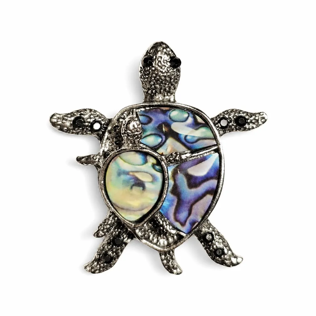 Hazy Turtle