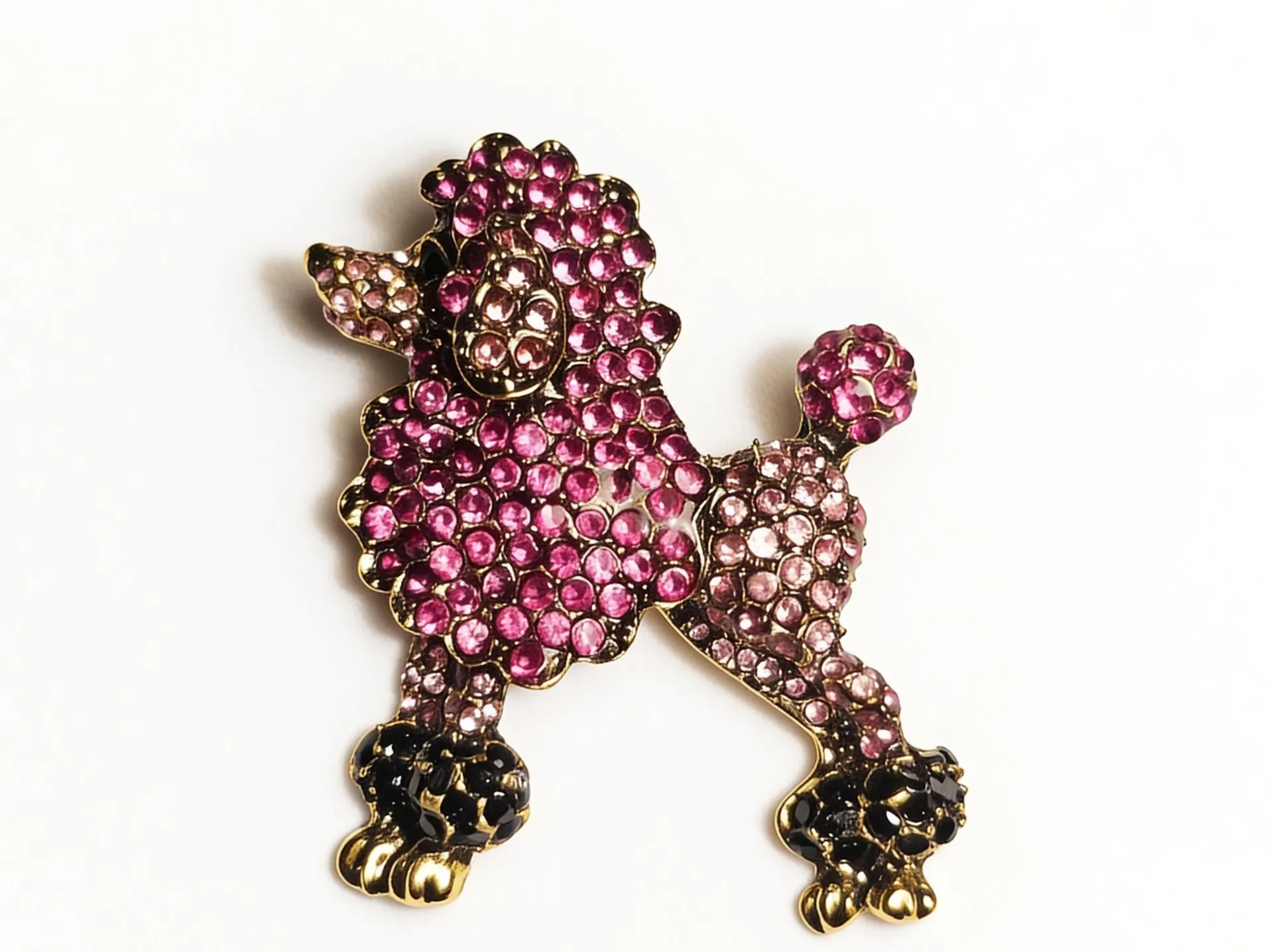Rosy Poodle